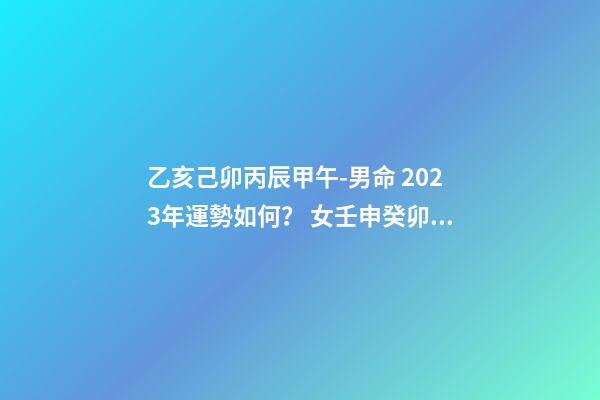 乙亥己卯丙辰甲午-男命 2023年運勢如何？ 女壬申癸卯丁亥辛丑，2023年運勢怎么樣，謝謝